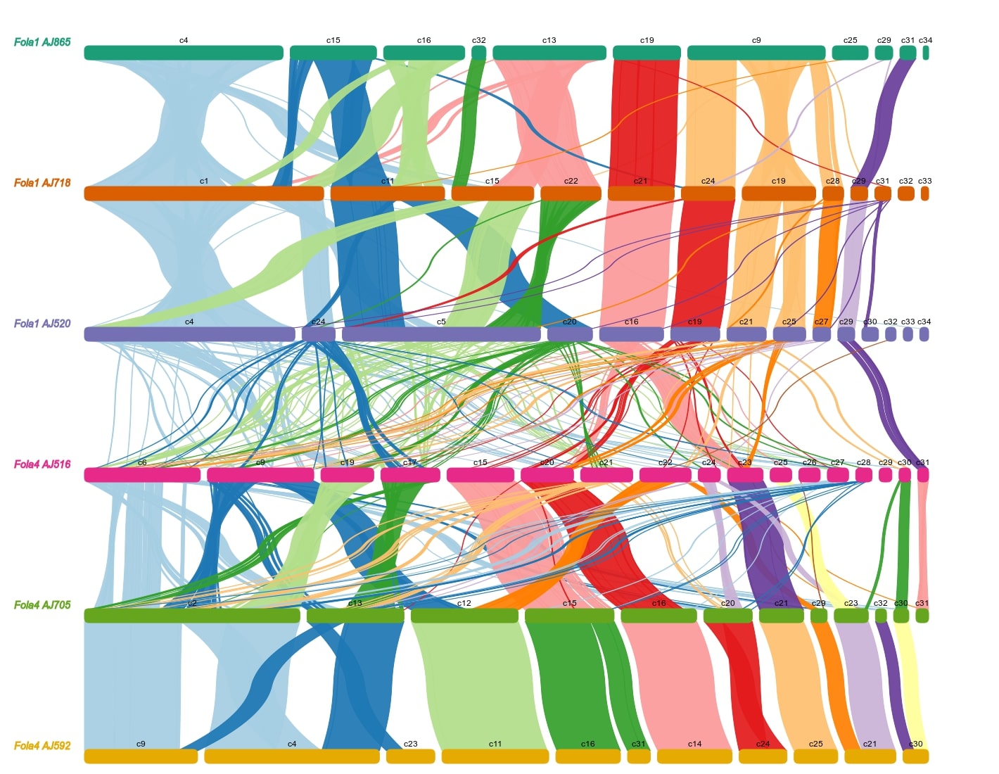 Synteny between Fola1 and Fola4 accessory genomes