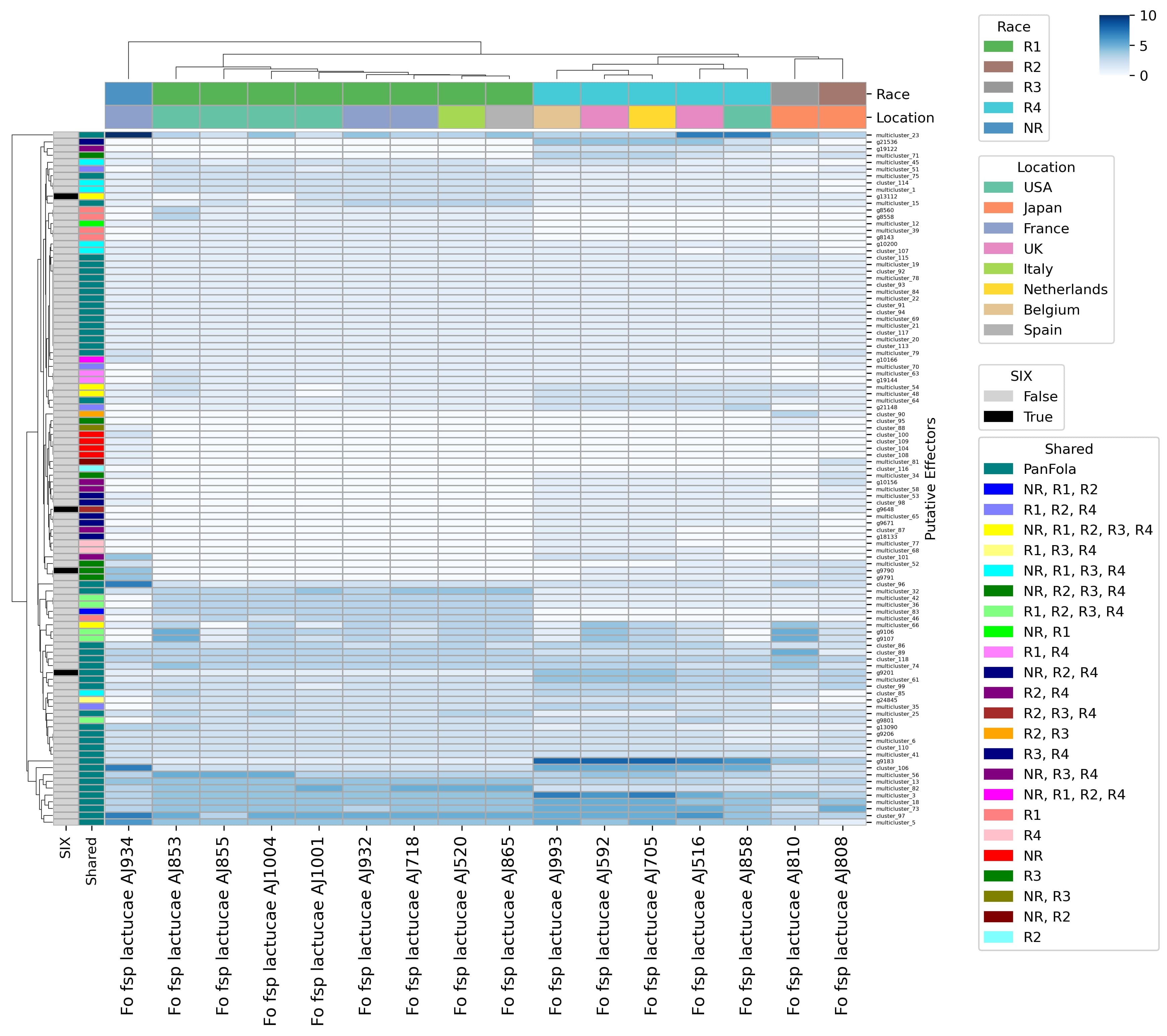 Effector repertoires of Fola isolates